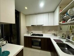 Riversound Residence (D19), Condominium #513553581